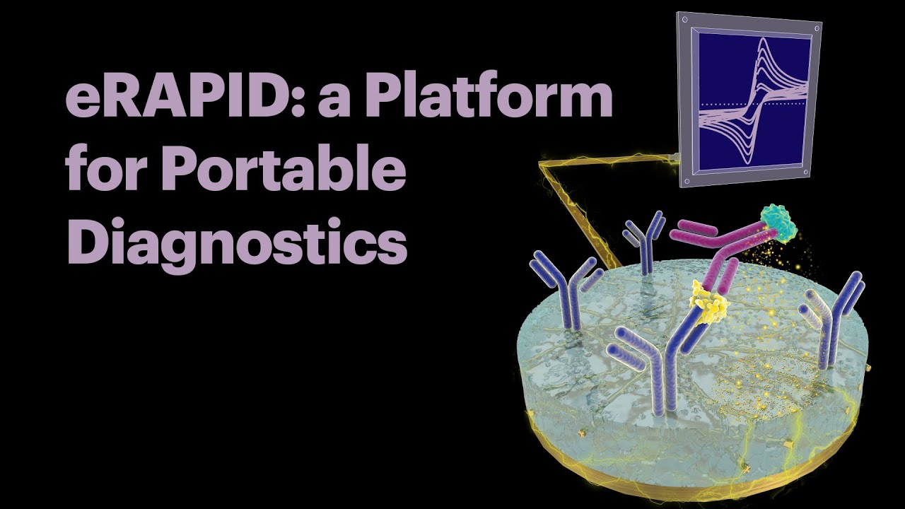 eRAPID: a Platform for Portable Diagnostics
