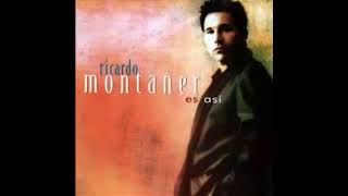 Ricardo Montaner | Y Si Te Miro | (Cover Audio)