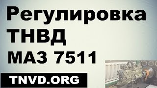 Регулировка ТНВД МАЗ 7511
