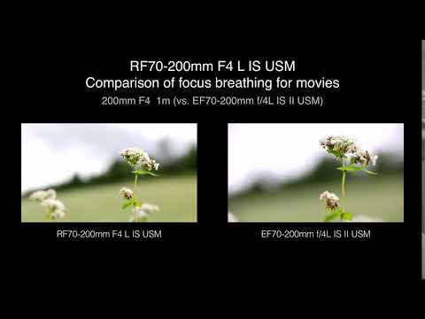 Canon RF 70-200mm f/4L IS USM Lens