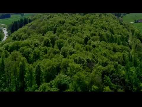 Drone footage through the seasons in Balzhausen, Bavaria, Germany. 2024/2025.