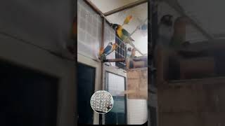 Download lagu What Will Happen Now Has Been Foretold by the Prophet Muhammad SAW #religioussermon ##spotlight mp3 Download lagu What Will Happen Now Has Been Foretold by the Prophet Muhammad SAW #religioussermon ##spotlight mp3