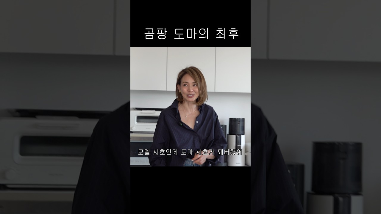 곰팡이 도마 최종편