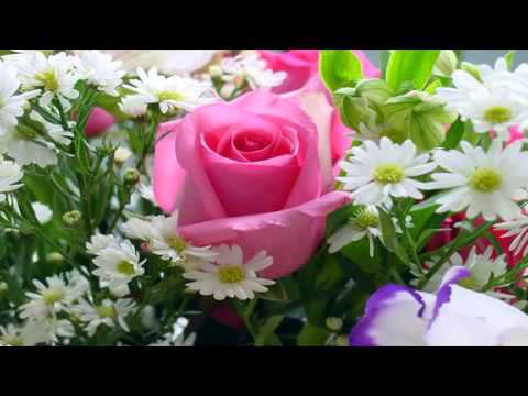 Romantic Love Songs   Instrumental Hits