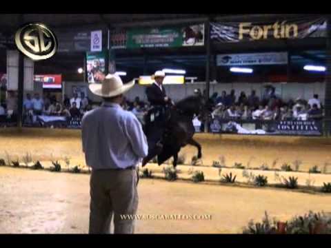 Prodigio de Maria Rosa, GCR Trocha pura Copa America 2010 - Rey de la sabana