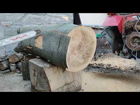 Husqvarna 3120 XP & 592 XP & Stihl 661.