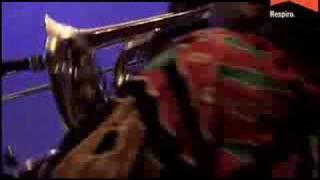 Elliot Sharp's Terraplane live at Etnafest 2007