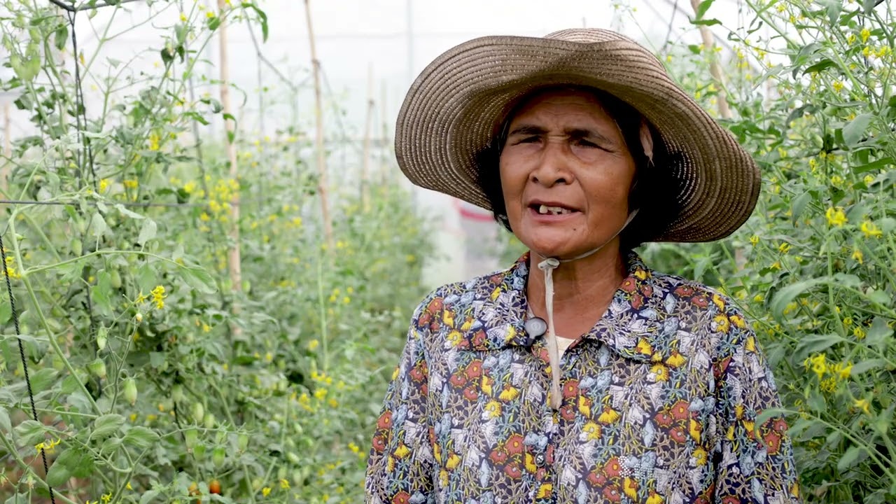 Video Part II "Farmer Led in the Lead"