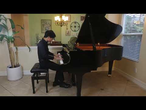 Rapid as WildFires , Piano by Rien