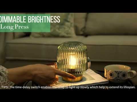 MJ PREMIER Rechargeable Lamp -- 1314