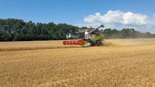 بيع ماكينة حصادة دراسة Claas 650 Trion - صورة 4 | Agroline QA ماكينة حصادة دراسة Claas 650 Trion | صورة 4 - Agroline