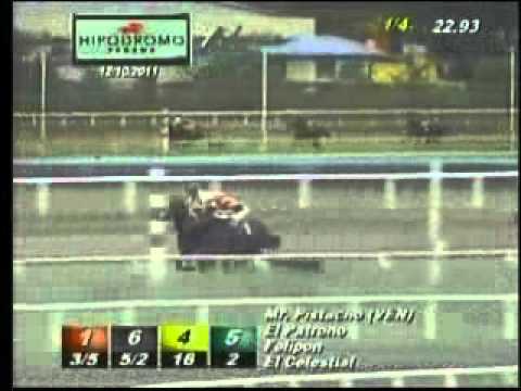 Copa Velocidad del Caribe 2011