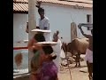 Vadivelu Funny Dance Status Sammy Sammy Song