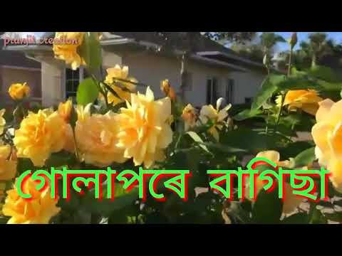 mure buku khoni o moni monidipa song by akash pritam