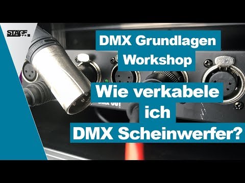 Wie verkabele ich Scheinwerfer mit DMX? - DMX Grundlagen Tutorial für Anfänger | stage.basic