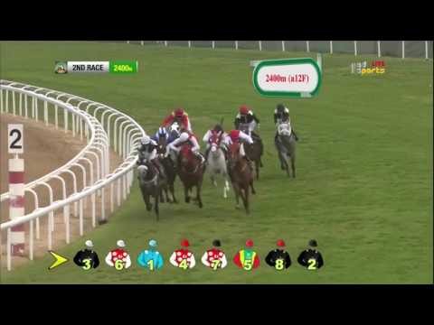 سباقات نادي ابوظبي للفروسية - الشوط الثاني - Al Zahir