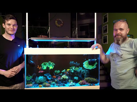 NEW MARINE AQUARIUM AT THE GREEN ART STORE - Sosnowiec! @tomaszjanikgreenart