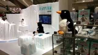 Monty the Penguin den and gift tour Cheadle John Lewis