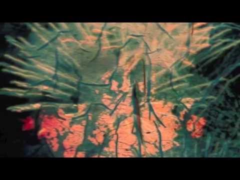 RIDE OR DIE by THE ICARUS LINE from ALL THINGS UNDER HEAVEN