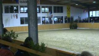 Video of Fuechtels Floriscount OLD