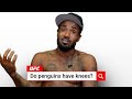 UFC's Bobby Green Takes on No MMA Questions!