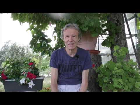 S'exposer au froid pour renforcer le système immunitaire