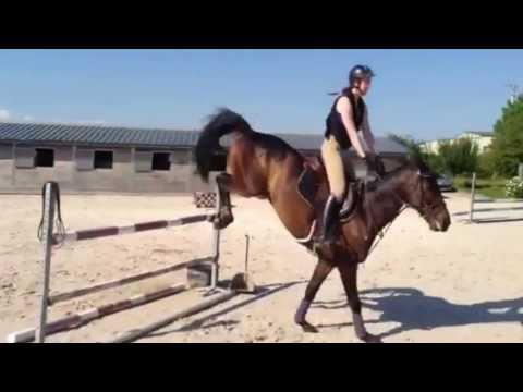 Entrainement CSI - Onyx de Louan