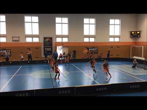 florbal jesenice - tygřice nehvizdy , 8.4.2018
