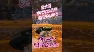 モンハン上手くなりたい人へ！おすすめ練習方法 #モンハンワイルズ #MHWilds #零式オメガ