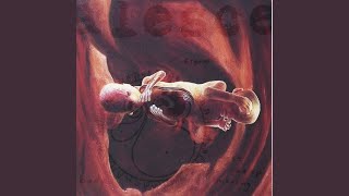 Counting Murders and Drinking Beer (The $46,000 Escape)