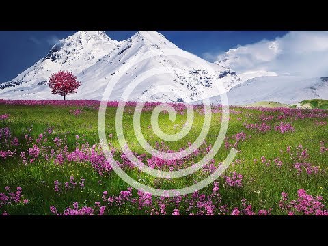 Find Your Purpose in Life - Ikigih Music for Mindfulness