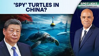China Claims 'Spy Turtles' Found in Its Waters | Underwater Espionage Allegations | Spotlight