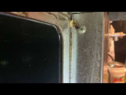 Cockroaches in the Oven in Plainsboro, NJ