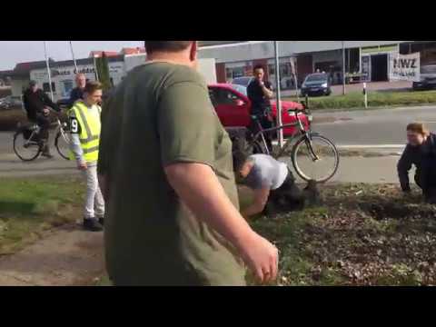 Ausgebüxte Hängebauchschweine halten Polizei und Klinik-Mitarbeiter auf Trab