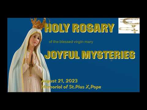 🔴 Rosary Monday Joyful  Mysteries of the Rosary August  21, 2023 🌹Praying Daily🙏🏼