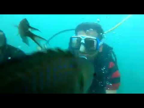 Scuba diving 30 feet deep 45 minut training underwater video include