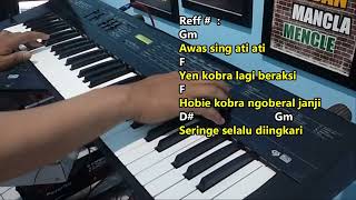 Download lagu Lanang Kobra (Diana Sastra - Cipt. Anggi R.) No kendang & drum mp3