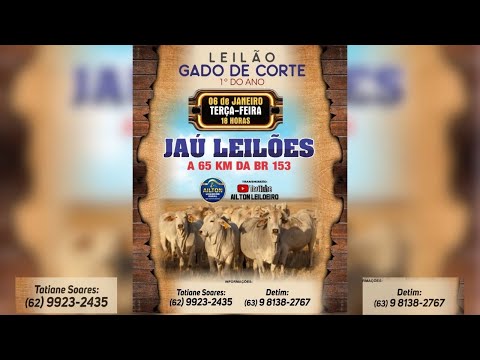 1º LEILÃO  2026    - JAU LEILÕES  - JAU DO TOCANTINS  - 06/ 01/ 2026