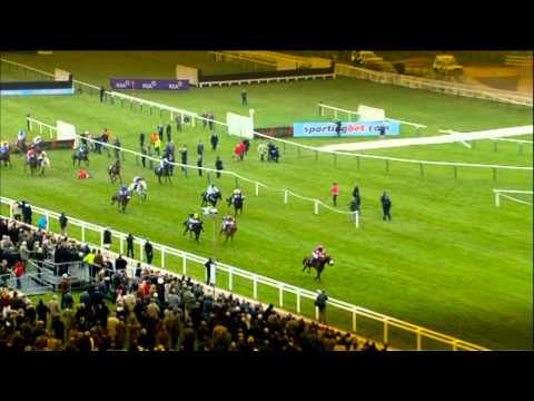 Review of the 13 Irish Winners at the 2011 Cheltenham Festival