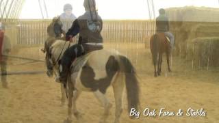 preview picture of video 'Big Oak Farm and Stables Horse Riding Lessons'