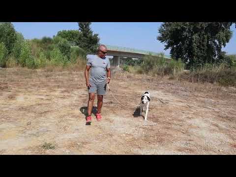 Vídeo de RICKY