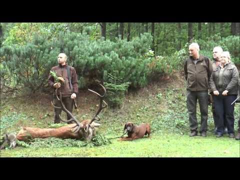 Jagdglück gleich am ersten Tag - 2 alte Recken liegen!