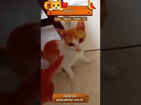 Vídeo de Zenitsu