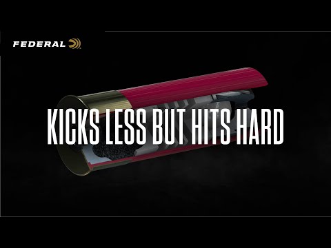 Remington vs Black Cloud vs Winchester vs Federal (4 Shot Comparison)