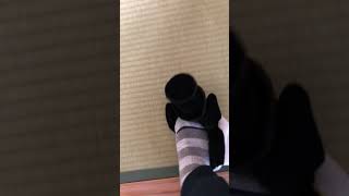 さよならペンギン #shorts ＃さよならペンギン ＃エイプリルフール ＃死ね ＃殺す