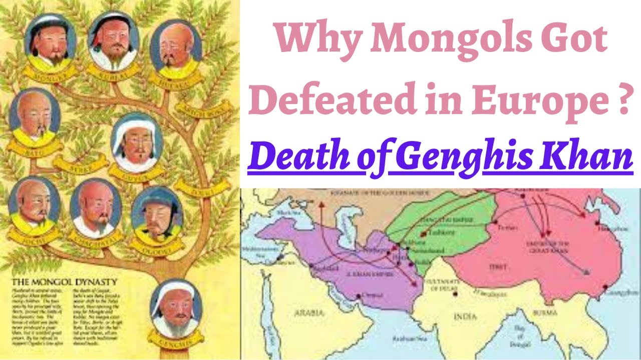 (P5C5) Why Mongols were not able to conquer Europe, What happened after death of Genghis Khan ?