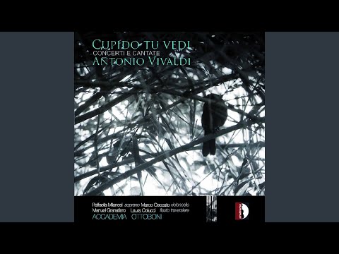 Che giova il sospirar, povero core, RV 679: Cupido, tu vedi