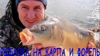 Ссылка