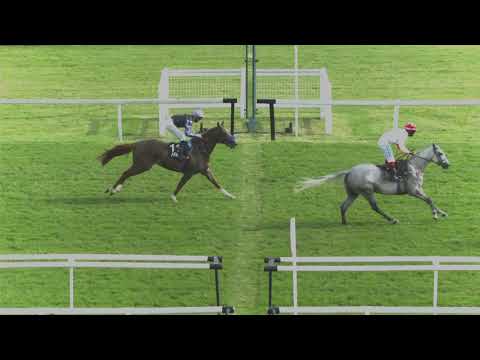 EMIRATES BREEDERS INTERNATIONAL SPRINT STAKES