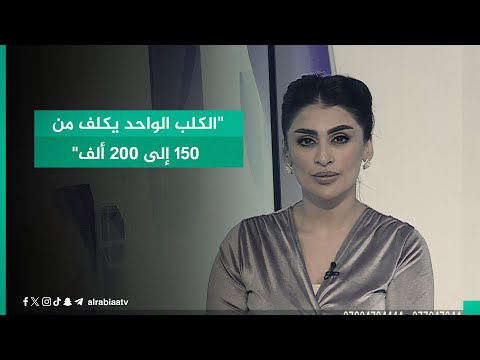 شاهد بالفيديو.. "الكلب الواحد يكلف من 150 إلى 200 ألف".. رئيس قسم مكافحة القوارض والحشرات ثامر الطائي: عملية الإبادة